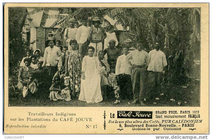 TOM - NOUVELLE CALEDONIE - TRAVAILLEURS INDIGENES Sur Les PLANTATIONS - CARTE PUBLICITAIRE CAFE JOUVE N° 17 - Nouvelle Calédonie