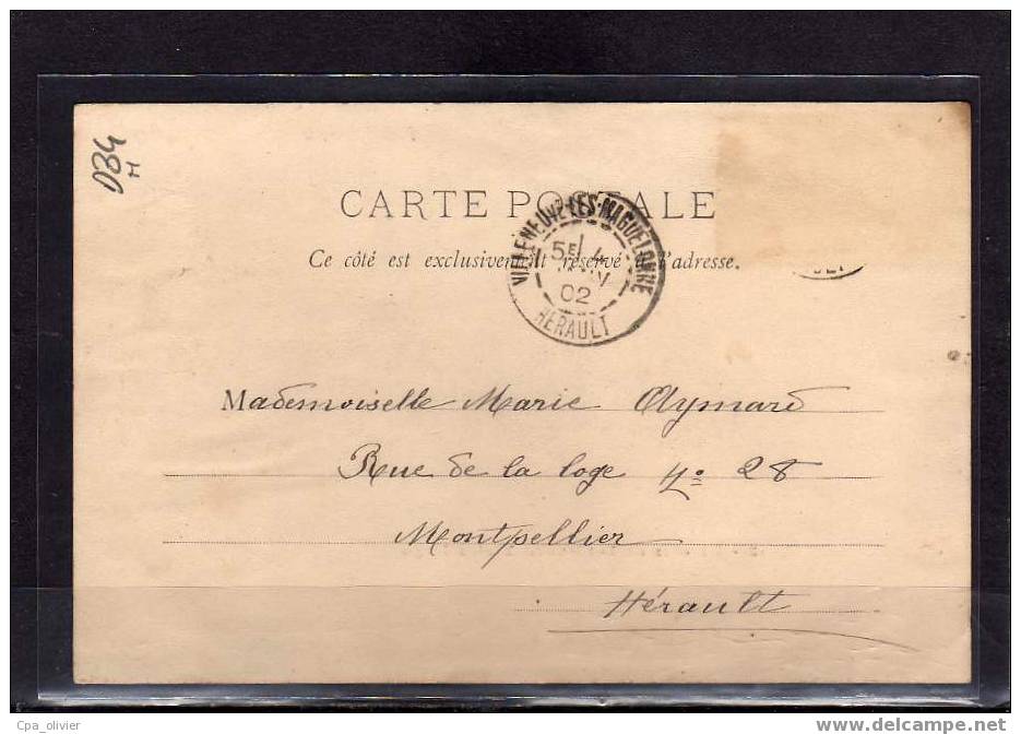 34 FRONTIGNAN Boulevard Victor Hugo, Coin, Animée, Attelage, Ed ? 3, 1902 - Frontignan