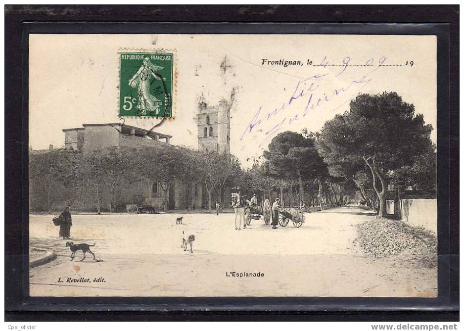 34 FRONTIGNAN Esplanade, Animée, Attelages, Ed Revellat, 1909 - Frontignan