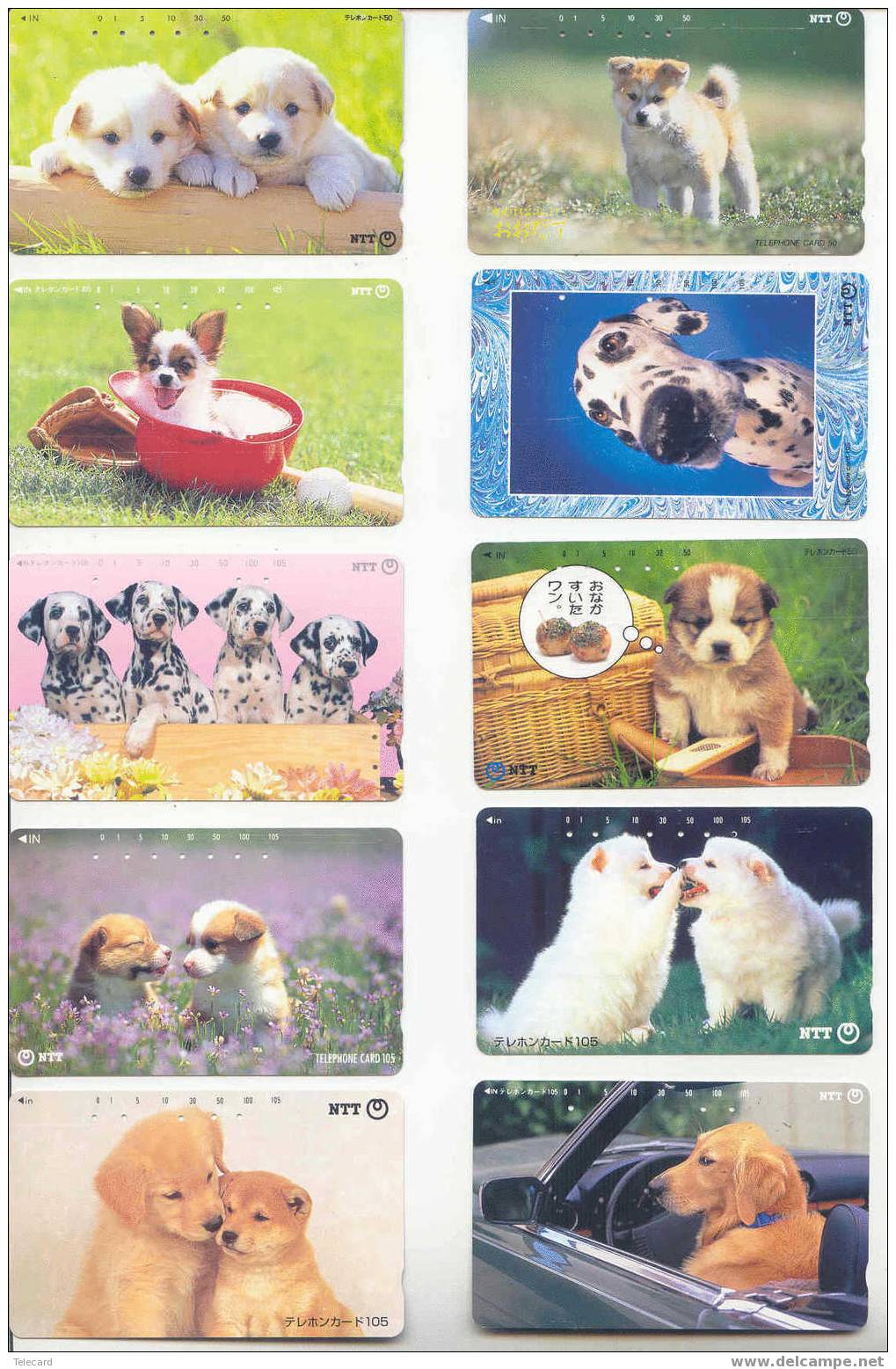 100 Télécartes Dogs (1) Chiens - Hunde - Honden - Perros - Flugzeuge