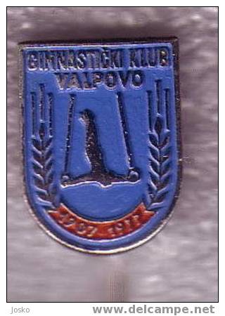 GYMNASTICS CLUB  Valpovo ( Croatian Pin ) Badge Gymnastic Gymnastique Gym Gimnasia Gymnastik Ginnastica * Sport * Sports - Gimnasia