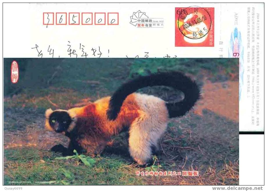 China, Postal Stationery, Monkeys - Apen