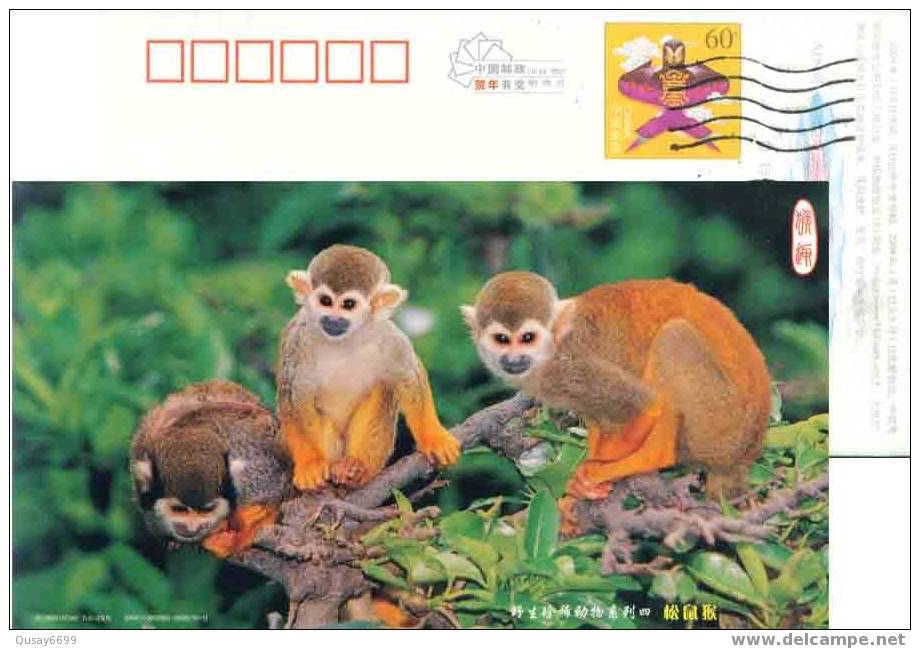 China, Postal Stationery, Monkeys - Monkeys
