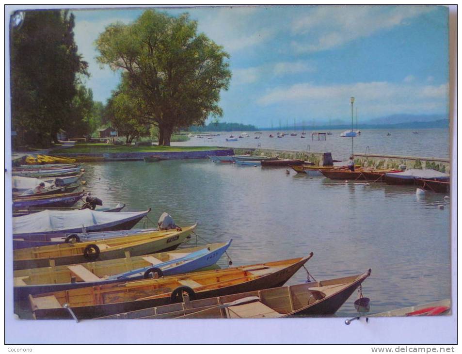 Morat - Le Lac - Murten