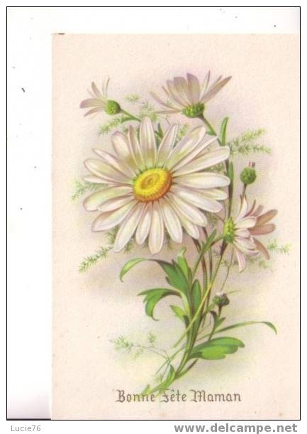 BONNE FETE MAMAN -  Fleurs -      MARGUERITES   -  N° 753 6 - Moederdag