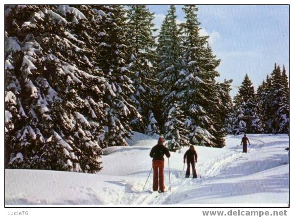 Les Joies Du Ski De Fond  - N° F 30747 - Rhône-Alpes