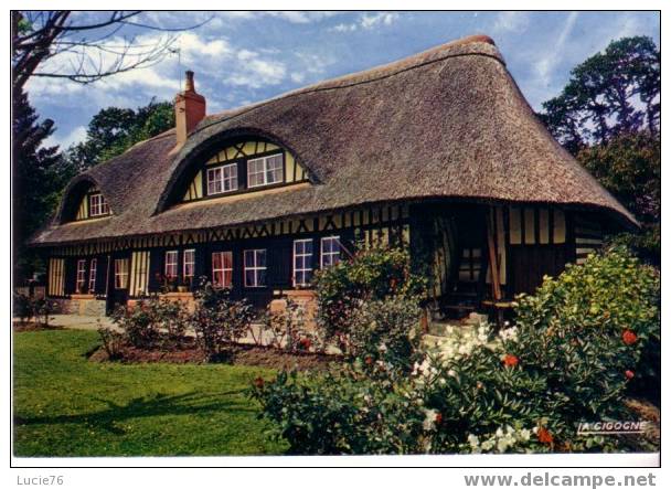 Chaumière Normande -  Charmes Et Couleurs De La Normandie - Haute-Normandie