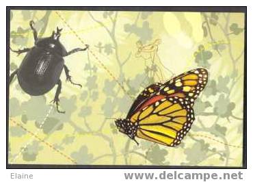 Butterfly And Black Beetle - Papillons