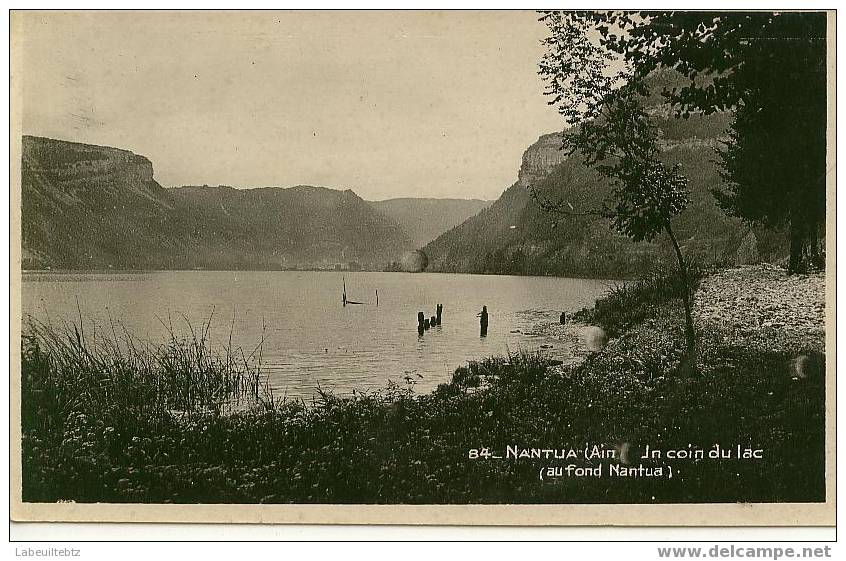 NANTUA - CPSM Un Coin Du Lac - Nantua