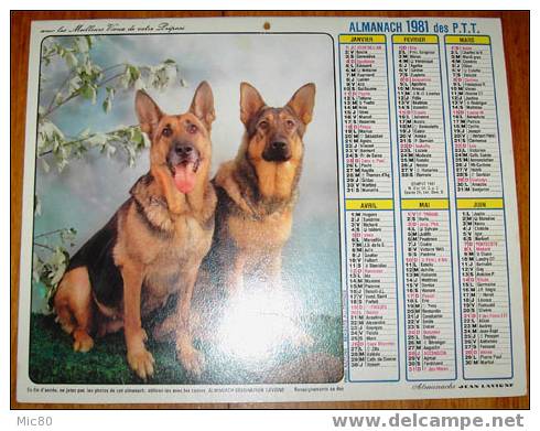 Calendrier PTT 1981 Pas De Calais - Grand Format : 1981-90