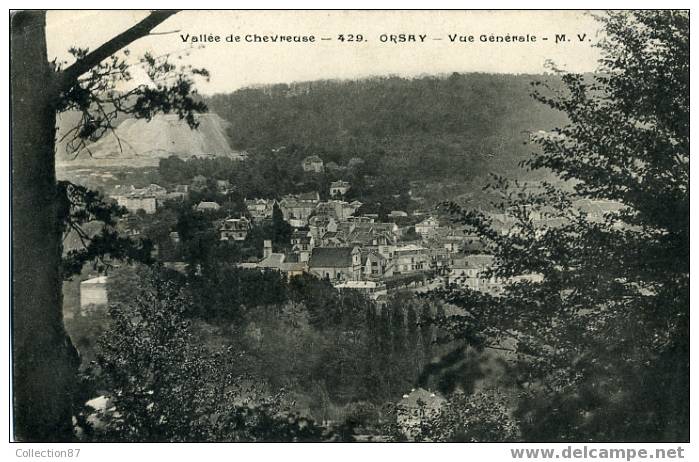 91 - ESSONNE - ORSAY - BELLE VUE D'ENSEMBLE - Orsay