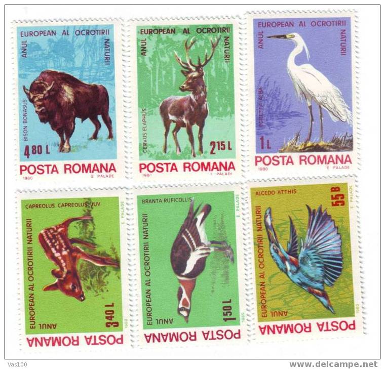 Romania 1980 Protected; Animals Birds ,MNH,OG. - Pelícanos