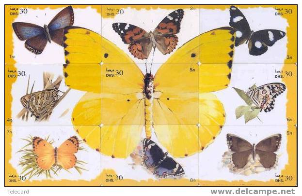 9 Telecartes En Puzzle PAPILLON Butterfly SCHMETTERLING Vlinder Arabic Emirates RARE!! - Butterflies