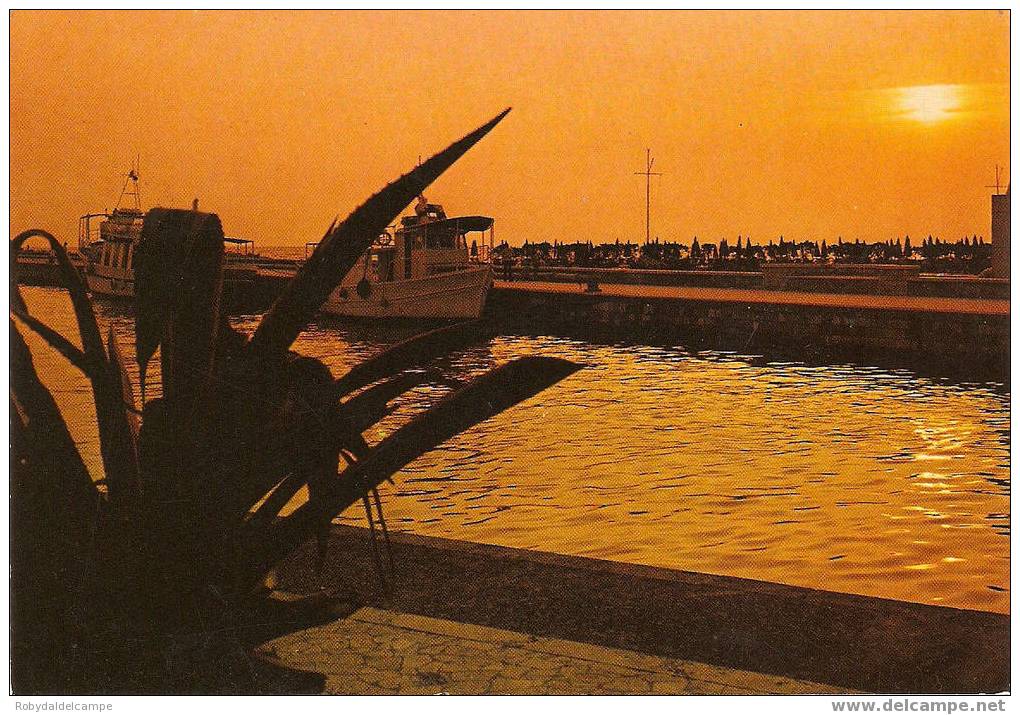 CF2042 - VIAREGGIO - Cartolina Viaggiata ( 1980 ) - Viareggio