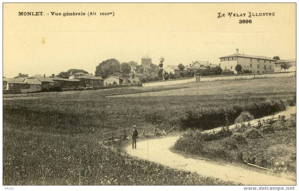 CPA(43)    MONLET Vue Generale - Riorges