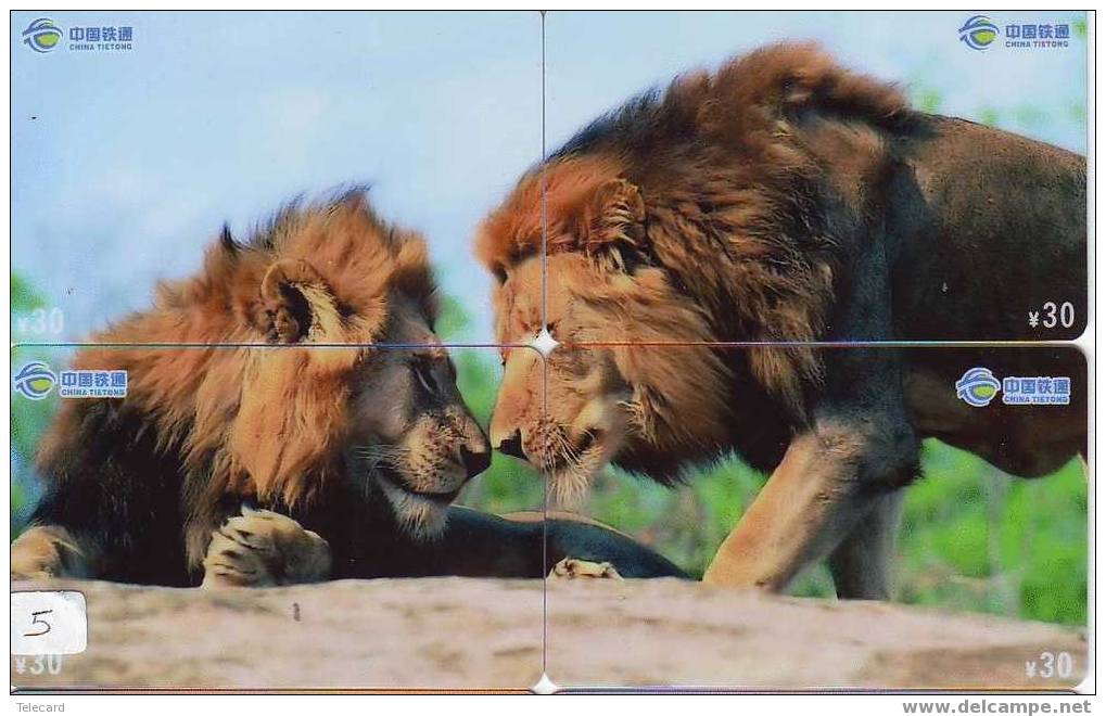 LION LÖWE LEEUW LEÓN LEONE Animal Tier (5) Puzzle Of 4 Phonecards - Rompecabezas