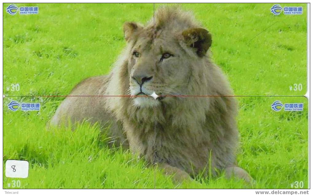 LION LÖWE LEEUW LEÓN LEONE Animal Tier (8) Puzzle Of 4 Phonecards - Puzzles