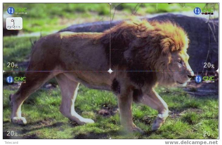 LION LÖWE LEEUW LEÓN LEONE Animal Tier (9) Puzzle Of 4 Phonecards - Puzzles