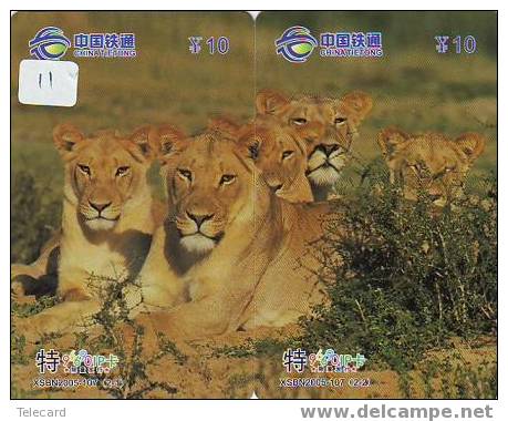 LION LÖWE LEEUW LEÓN LEONE Animal Tier (11) Puzzle Of 2 Phonecards - Puzzles