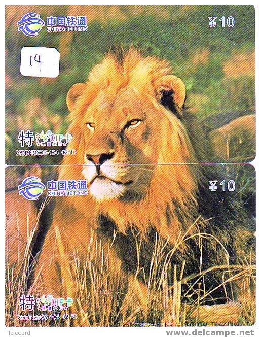 LION LÖWE LEEUW LEÓN LEONE Animal Tier (14) Puzzle Of 4 Phonecards Animal - Puzzle