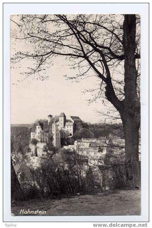 Allemagne - Vue De HOLNSTEIN - Hohnstein (Sächs. Schweiz)