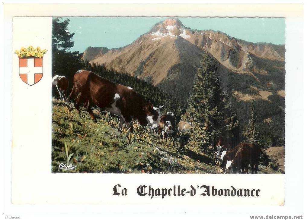 La Chapelle D' Abondance: Paturage Et Le Mont De Grange, Vache (07-2387) - La Chapelle-d'Abondance