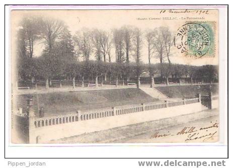 87 BELLAC * La Promenade *  Très Belle Carte Postée En Décembre 1902 – DOS SIMPLE! - Bellac