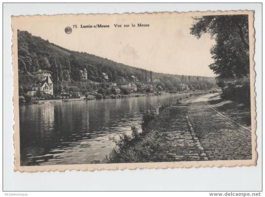 Lustin S/ Meuse - Vue Sur La Meuse - Profondeville