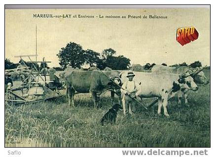 Rare Reproduc CPA 85 Attelage De Boeufs Moisson Au Prieuré De Bellenoue (Château Guibert) - Teams