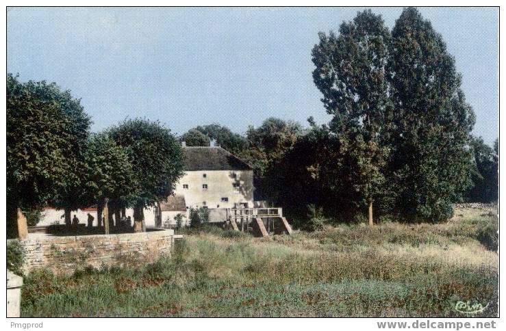 89 - L´ISLE SUR SEREIN - La Promenade Des Antes - 205 - L'Isle Sur Serein