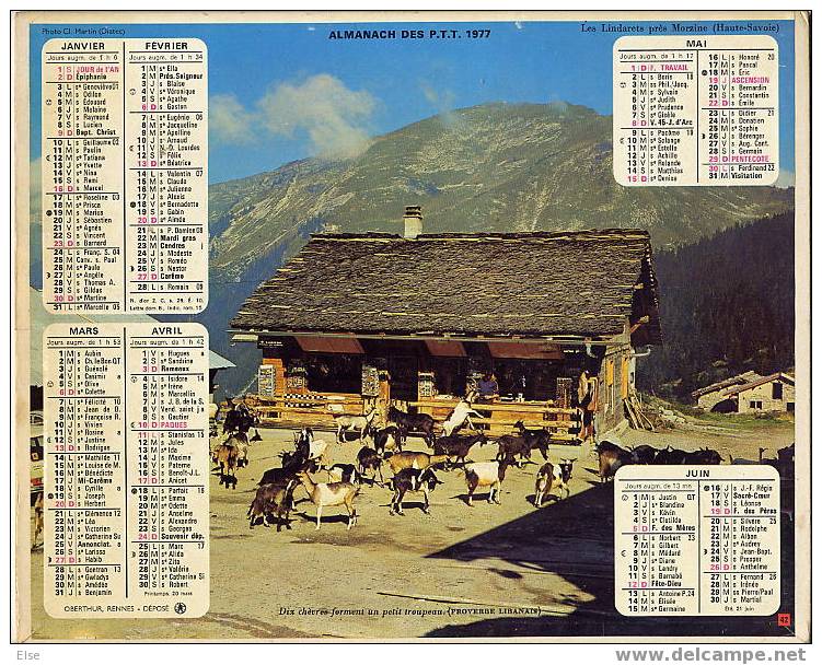 CALENDRIER ORIGINAL 1977  -  DIX CHEVRES FORMENT UN PETIT TROUPEAU  &  MONTAGNE - Formato Grande : 1971-80