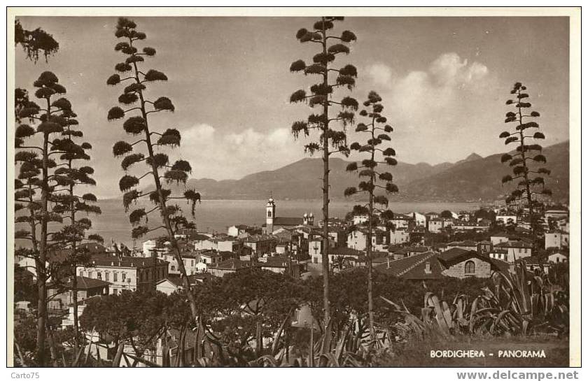 ITALIE - BORDIGHERA - Panorama - Cactus - Imperia