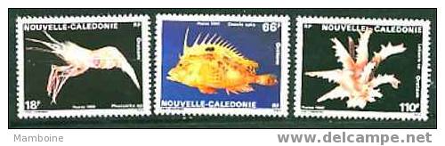 Nouvelle Caledonie  1989  Faune Marine 576 / 78 .neuf   X X . - Unused Stamps