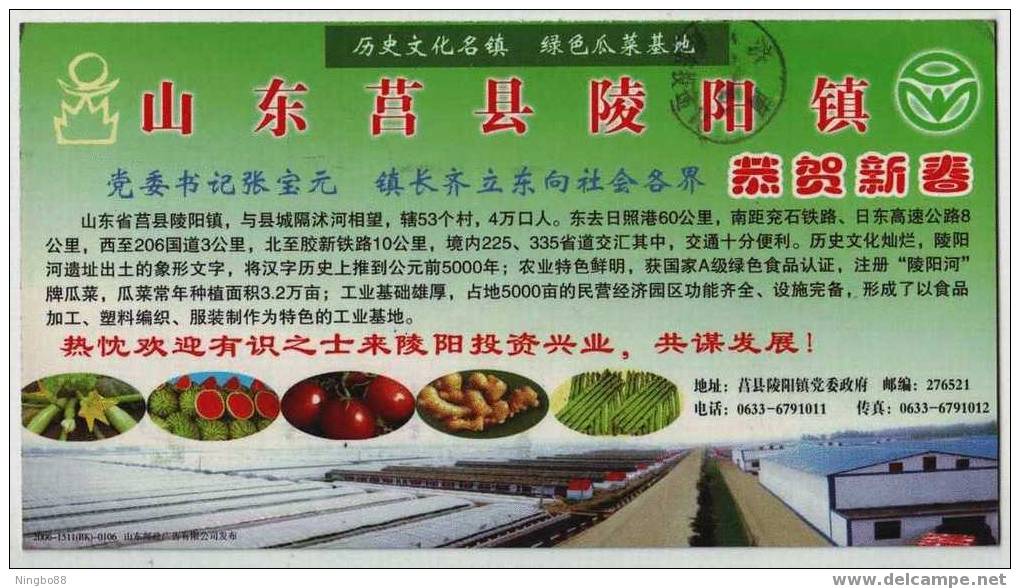 Watermelon,tomato,vegetab   Le,China  2006 Lingyang Town Green Vegetable Industry Advertising Pre-stamped Card - Légumes