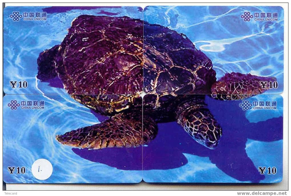 4 Telecartes En PUZZLE Turtle – Tortoise – Tortuga Marina – Schildkroete – Tartaruga – Tortue – Schildpad (1) - Puzzles