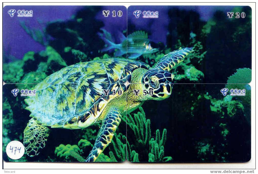 4 Telecartes En PUZZLE Turtle – Tortoise – Tortuga Marina – Schildkroete – Tartaruga – Tortue – Schildpad (474) - Puzzle