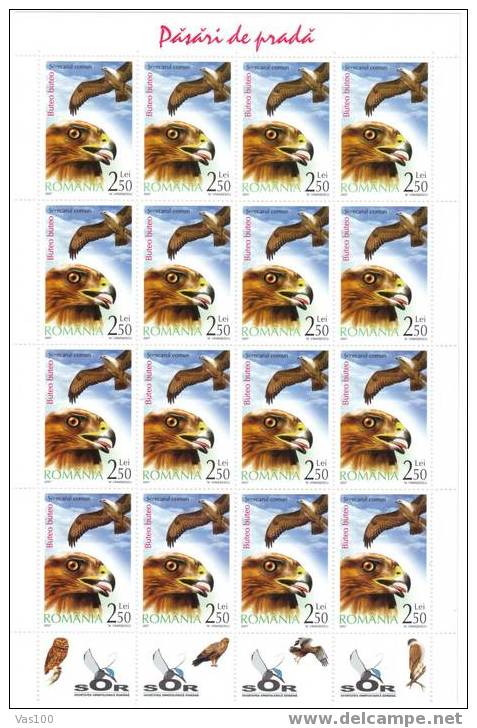 ROMANIA  2007 ,OISEAUX DE PROIE / OWLS,RARE IN MINISHEET 16X TABS,MNH,val 2,5 Lei - Hojas Completas