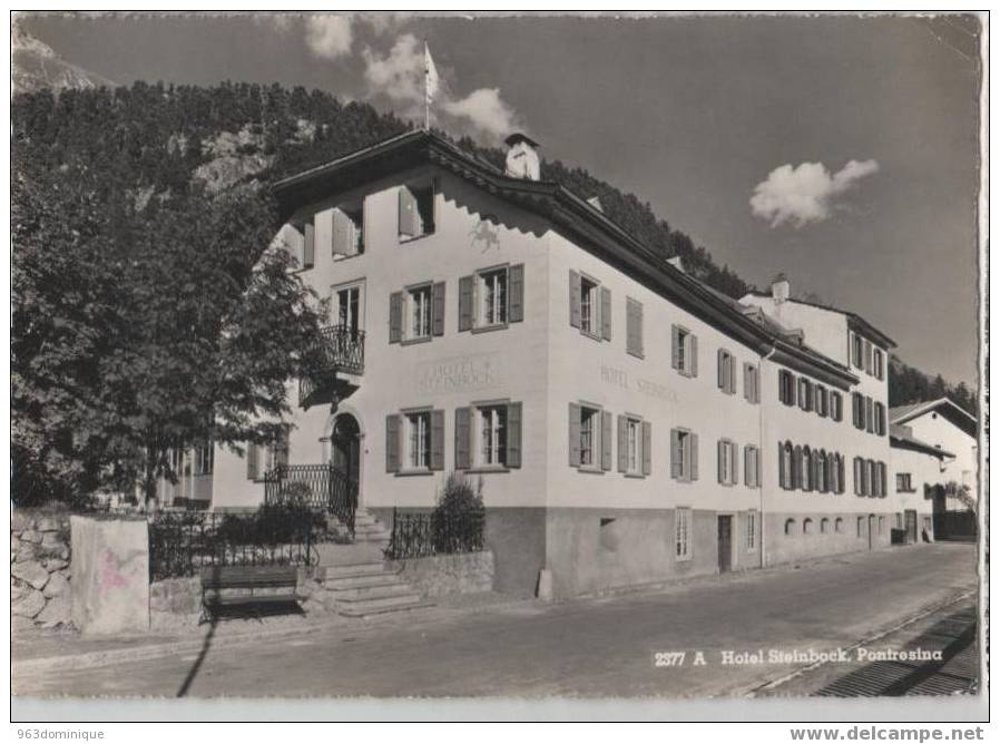 Pontresina Hotel Steinbock 1964 - Pontresina