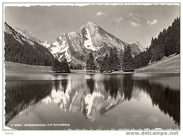 GRAPPELENSEE MIT SCHAFBERG - Berg