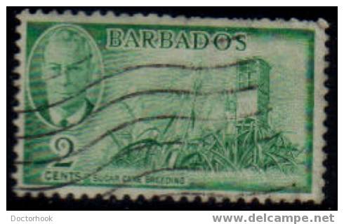 BARBADOS   Scott: # 217   F-VF USED - Barbados (...-1966)