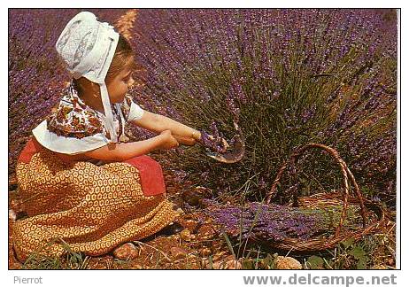 300807B : Lavande Provence - Costumi