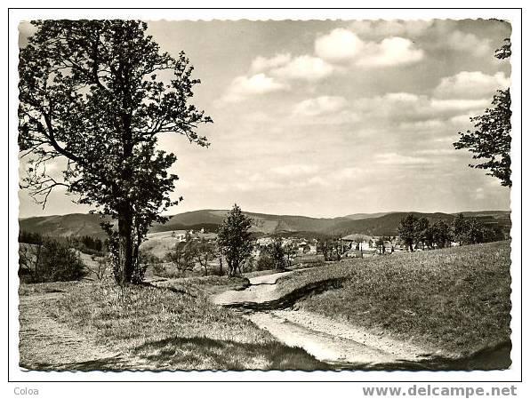 St Andreasberg Harz Blick Von Den Drei Jungfern - St. Andreasberg