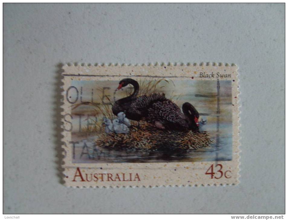 Australien 1991 - Cygnes