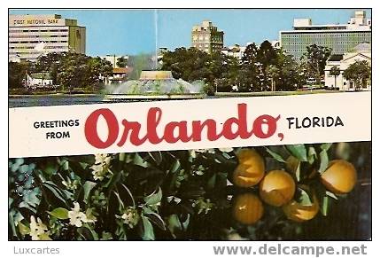 GREETINGS FROM ORLANDO FLORIDA - Orlando