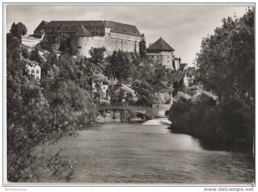 Tübingen - Schloss Hohentübingen Und Neckar - Tuebingen