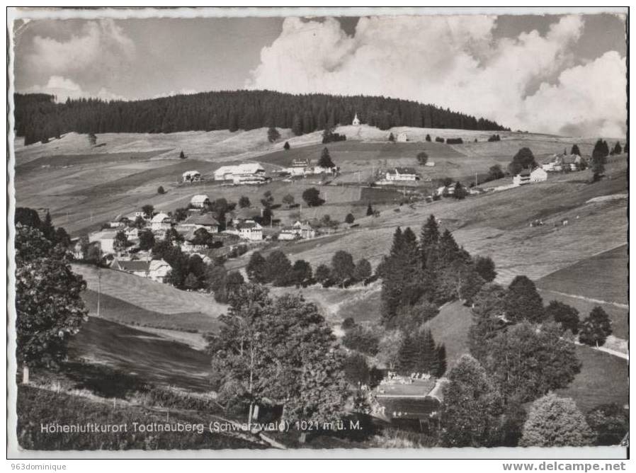 Todtnauberg - Todtnau