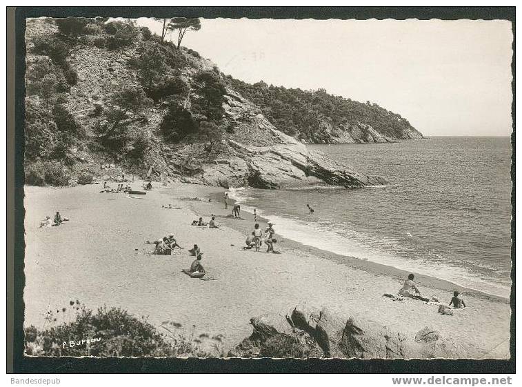 CPSM - Cavalaire Sur Mer (83) - La Plage De Bon Porto ( Animée Collection D' Art Bureau ) - Cavalaire-sur-Mer