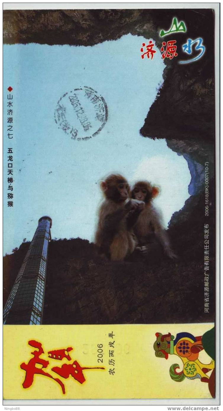 Wulongkou 150 Meters Height Sightseeing Elevator,macaque Monkey,CN06 Jiyuan Landscape Advertising Pre-stamped Card - Monkeys