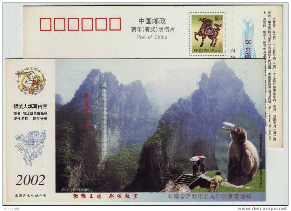 Monkey Beer Drinking,China 2002 Wulongkou Scenic Area Adminstration Pre-stamped Card Monkey Macaque - Apen