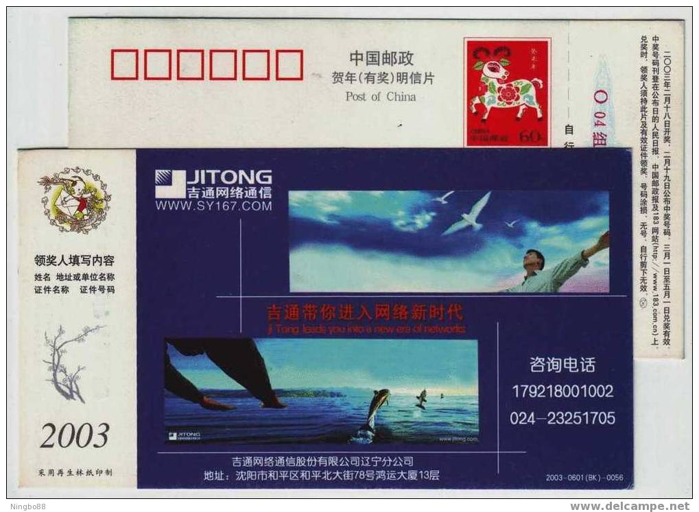 Dolphin,Seagull,China 2003 Jitong Network Company Advertising Pre-stamped Card - Delfines